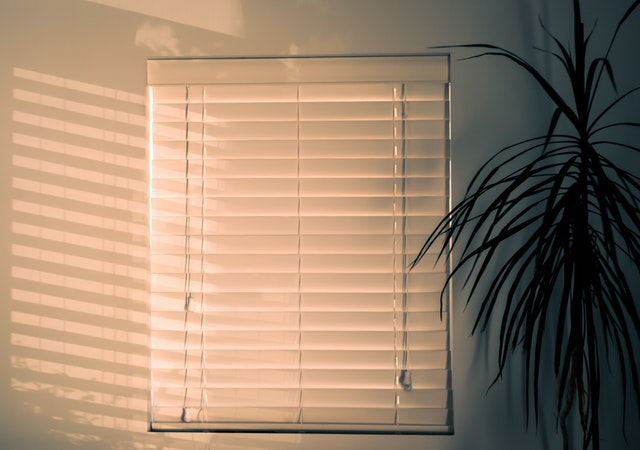 Vinyl vs Faux Wood Blinds